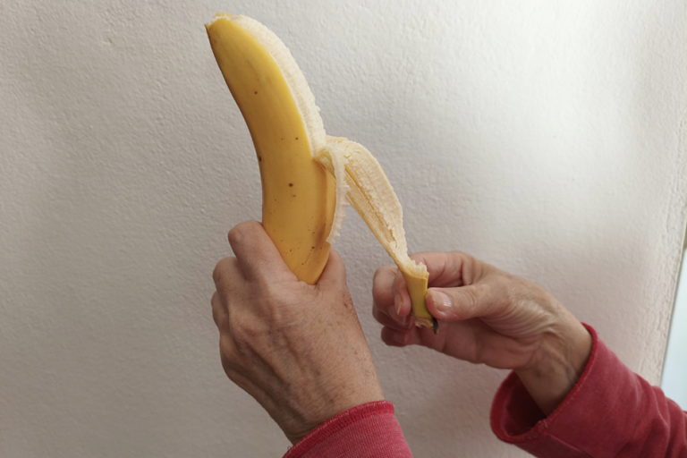 Healthy foods that support gut health and digestion